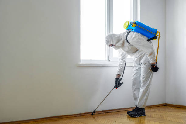 Best Local Pest Control Services  in Rainier, WA