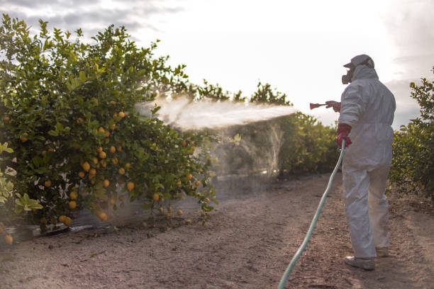 Professional Pest Control in Rainier, WA